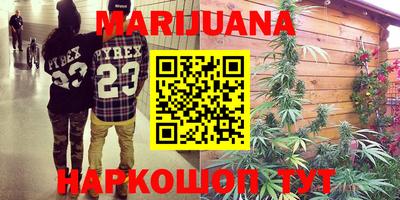 прущие грибы Тулун