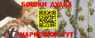 прущие грибы Тулун