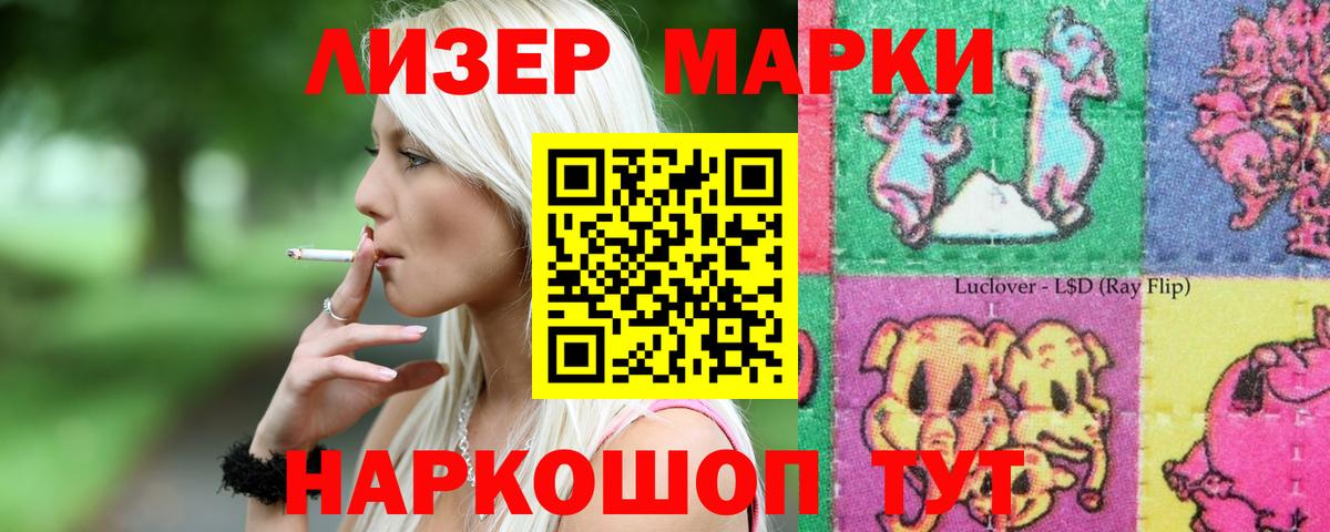 Галлюциногенные грибы Альметьевск
