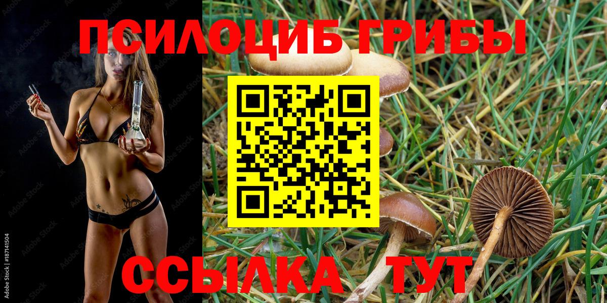 Галлюциногенные грибы Psilocybe Альметьевск