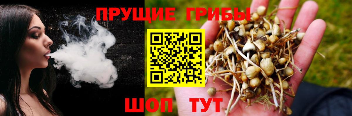 Псилоцибиновые грибы прущие грибы  Вход с VPN  Альметьевск 